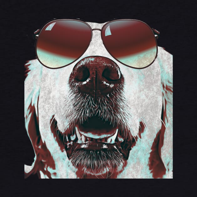 White dog wearing sunglasses by PersianFMts